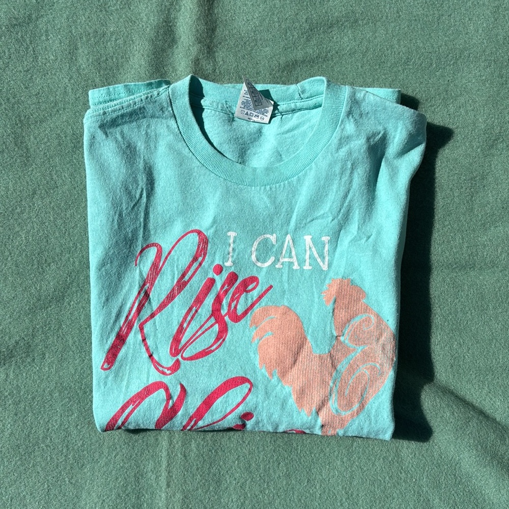 Delta Pro Weight Teal Graphic T-Shirt with Fun Quote Chicken Tee Rise & Shine M